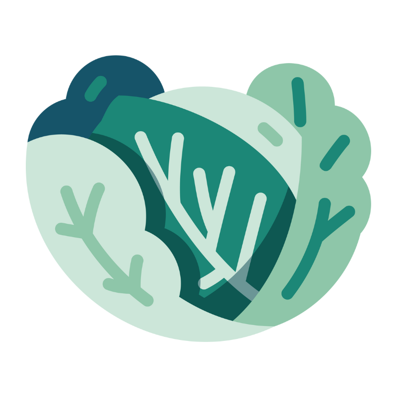 루테인 효능 부작용