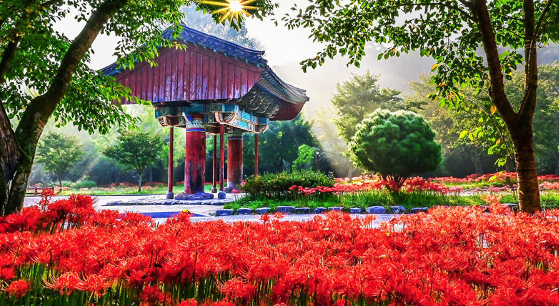 고창 선운산도립공원