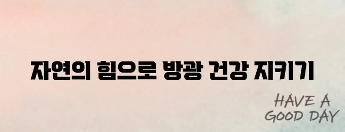 방광염 잡는 천연 음식 5가지 – 약보다 강력하다