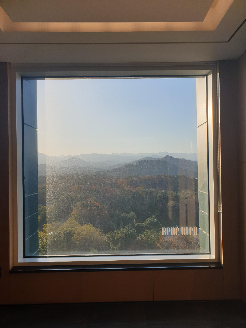 복도 엘레베이터 근처 마운틴뷰. 액자와 같다.