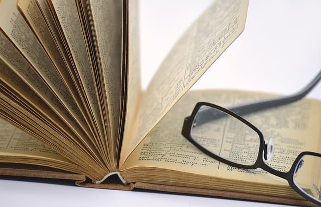 수집가의 일상: 실제 수집 과정과 일지를 기록하는 방법