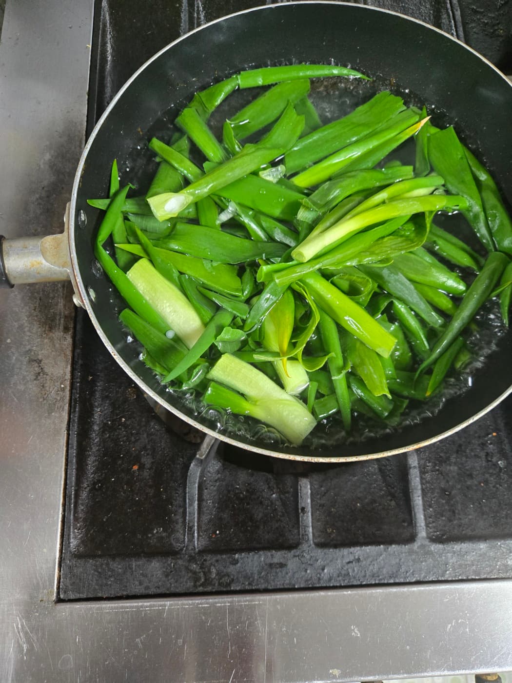 겨울대파