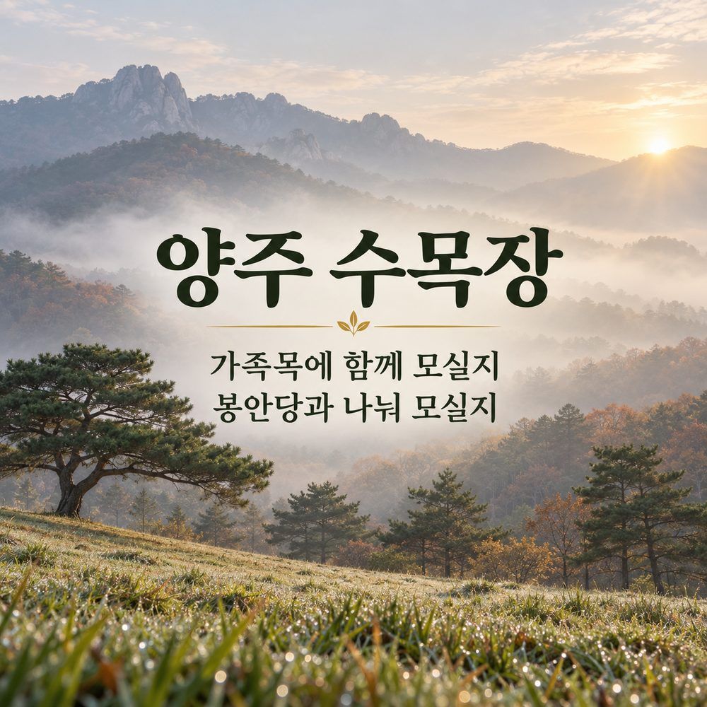양주 수목장, 가족목에 함께 모실지 봉안당과 나눠 모실지