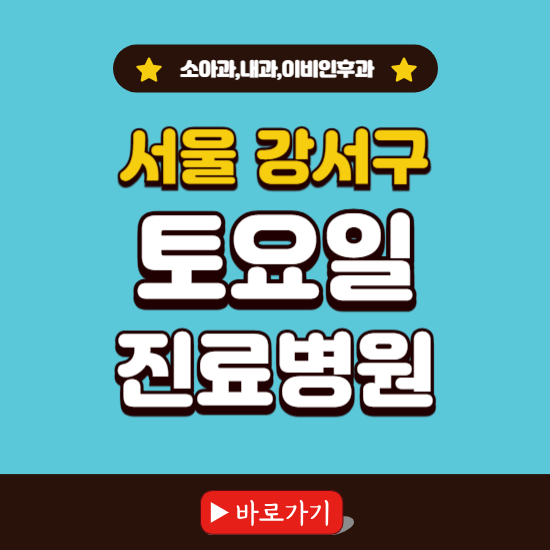 서울 강서구 토요일 진료 병원 찾기 ❘ 주말 문여는 소아과, 내과, 이비인후과 리스트