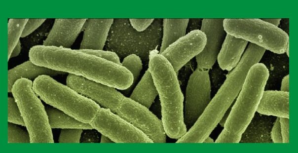 당뇨병을 연상하는 이미지