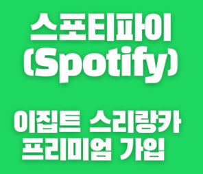 스포티파이 스리랑카 이집트 VPN 가입 방법