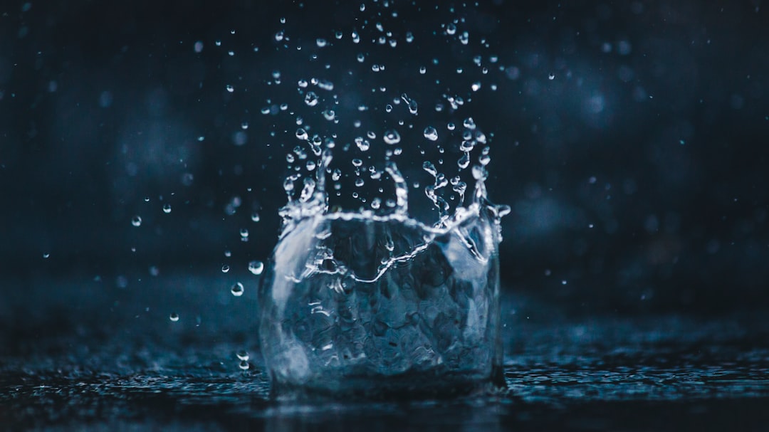 Water purifier.
