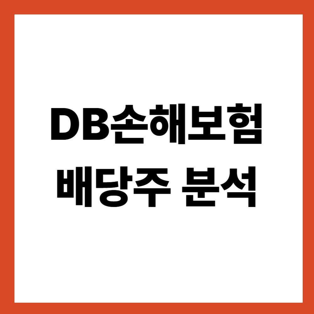 DB손해보험 배당주 분석 손해보험사 배당, 구조부터 해석한다