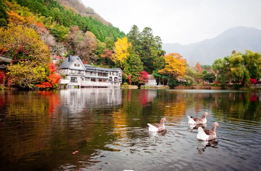 일본 규슈 후쿠오카 여행