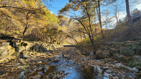 [명품숲길 50선 가을단풍 산행 ②] 소리향기길 &amp; 명언읽고가길 : 가평 강씨봉자연휴양림의 가을 산책길