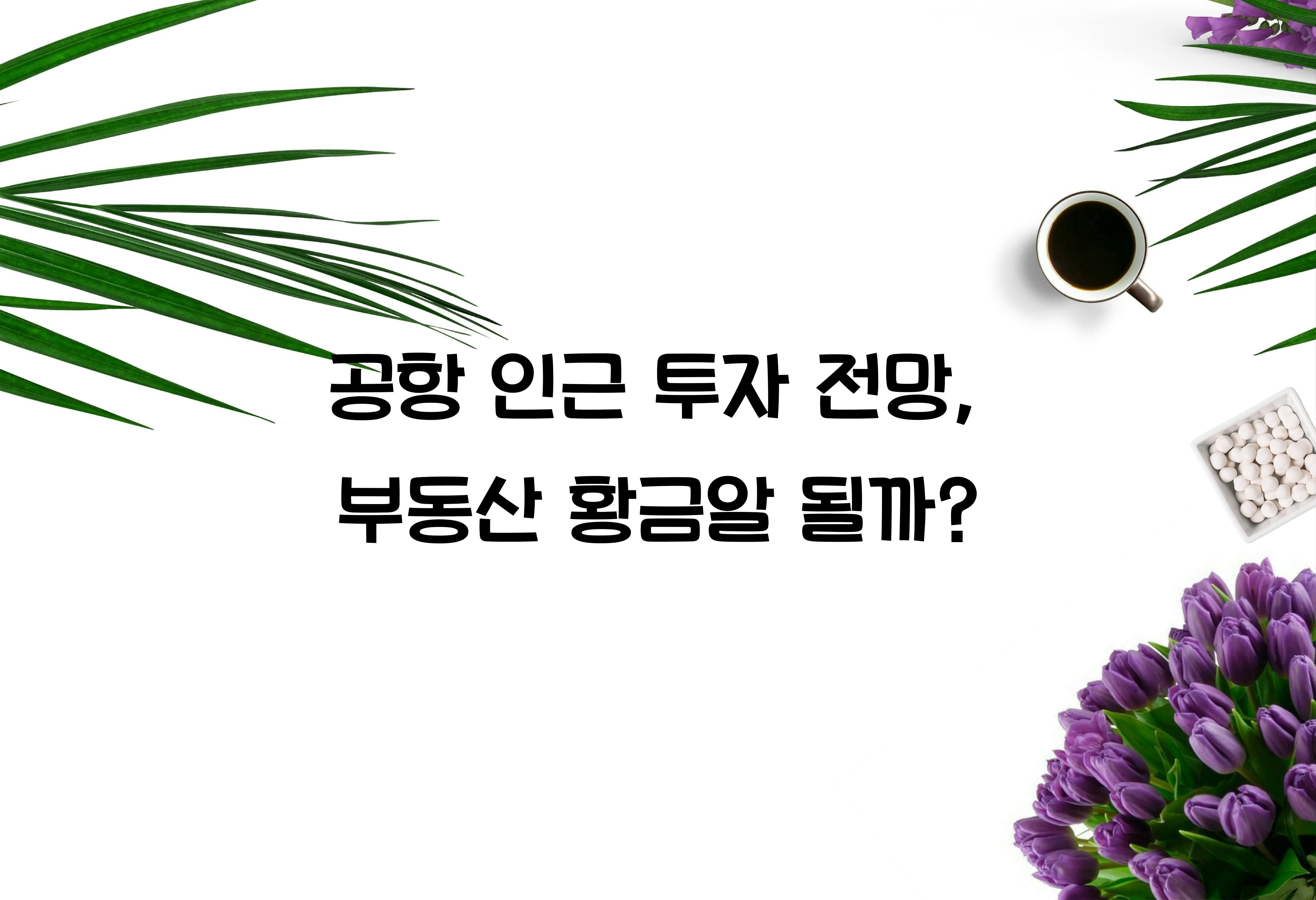 공항 인근 투자 전망