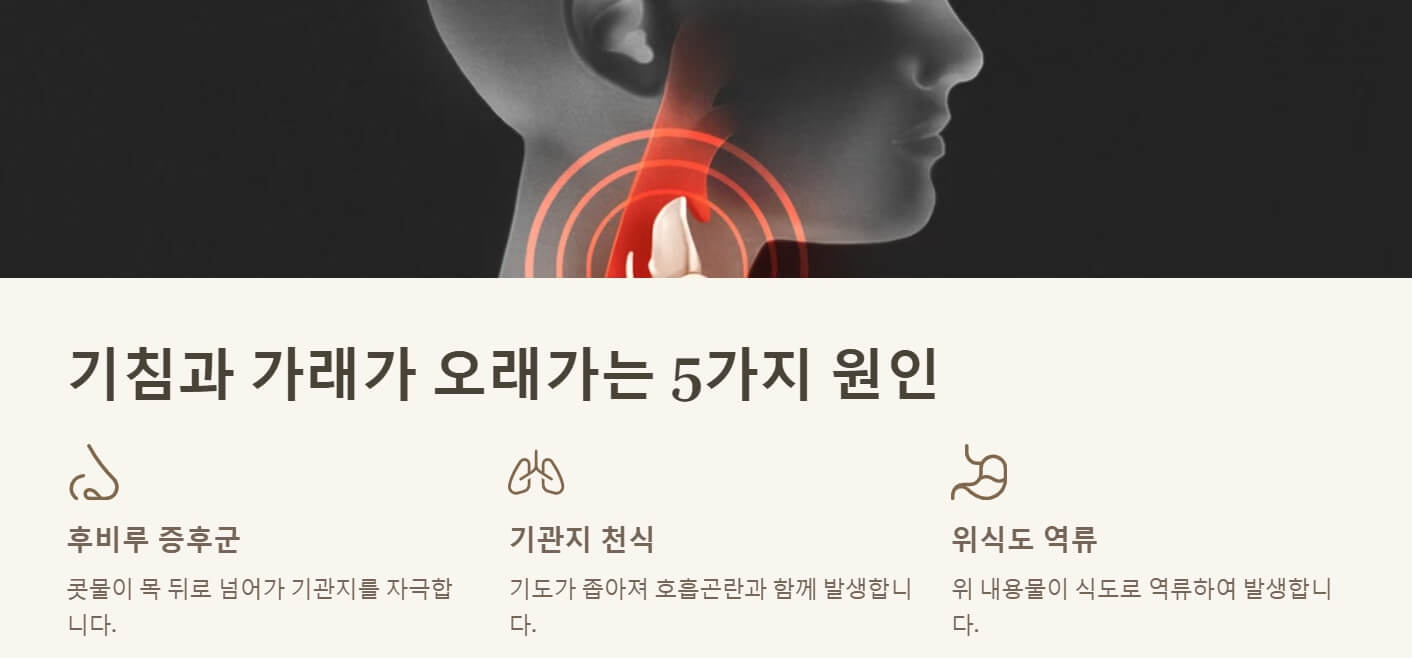 기침 가래 오래가는 이유
