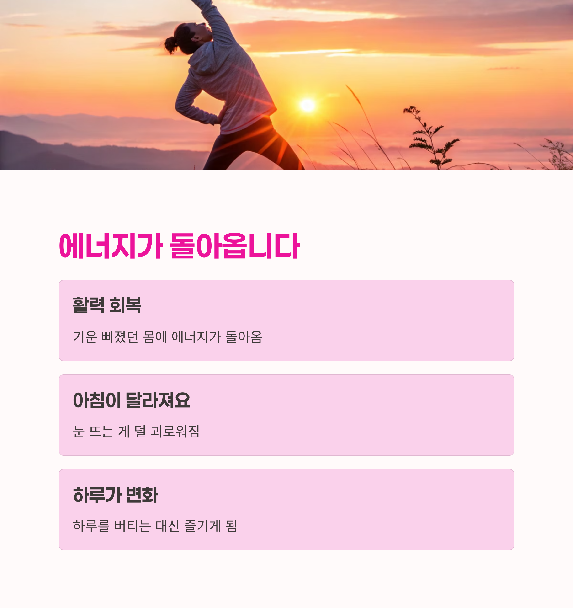 노화 방지,