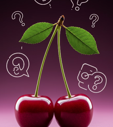 자주 묻는 질문 Q&A