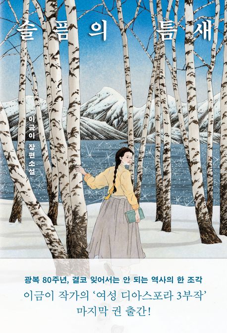 슬픔의 틈새의 책 표지