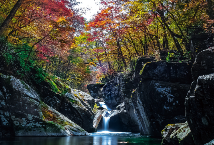 지리산 등산코스