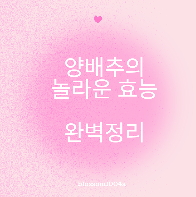 양배추의 놀라운 효능 완벽정리