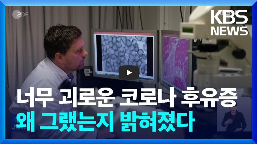 코로나 바이러스 폐 건강 후유증