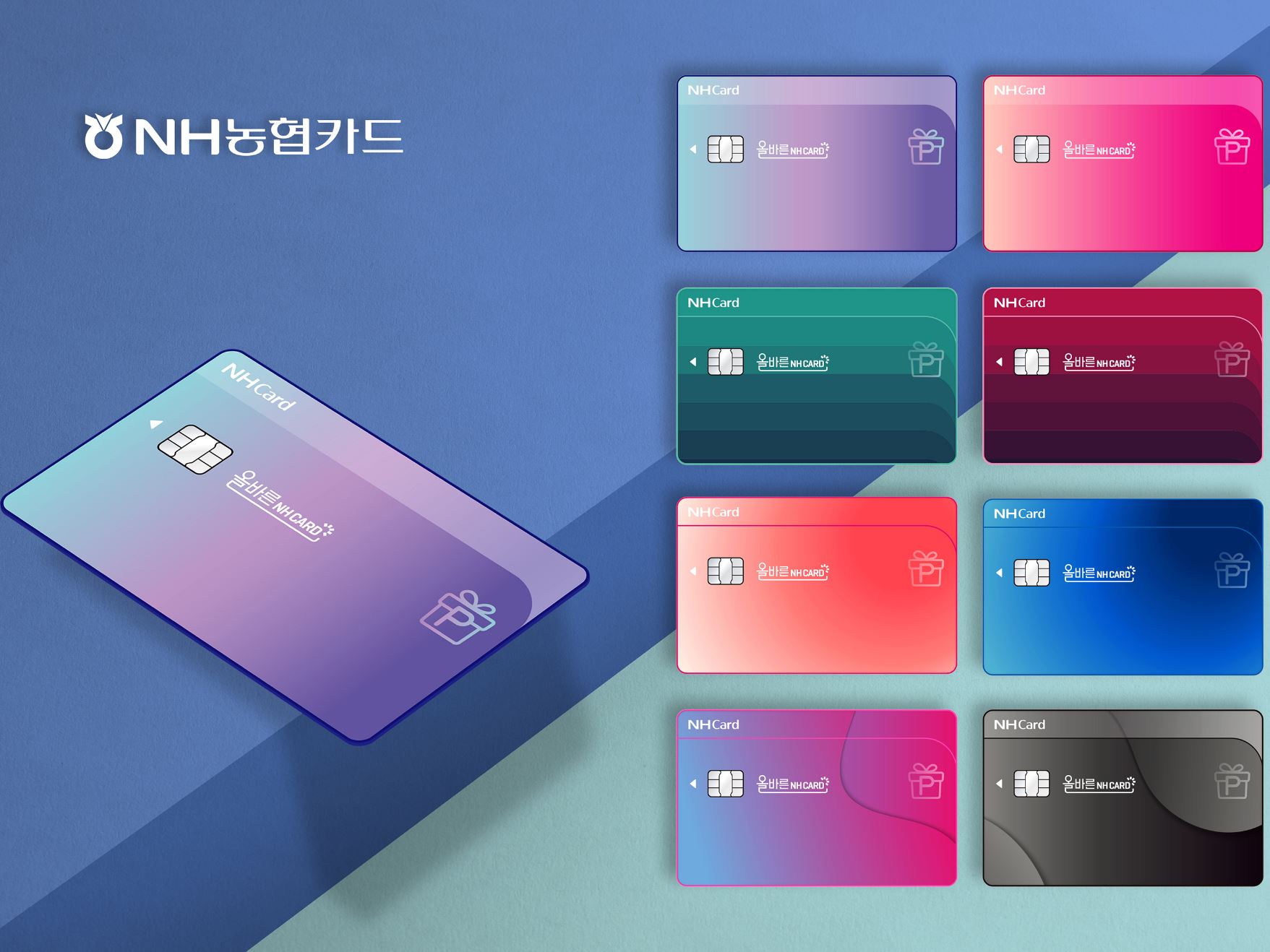 농협카드 국민지원금 6