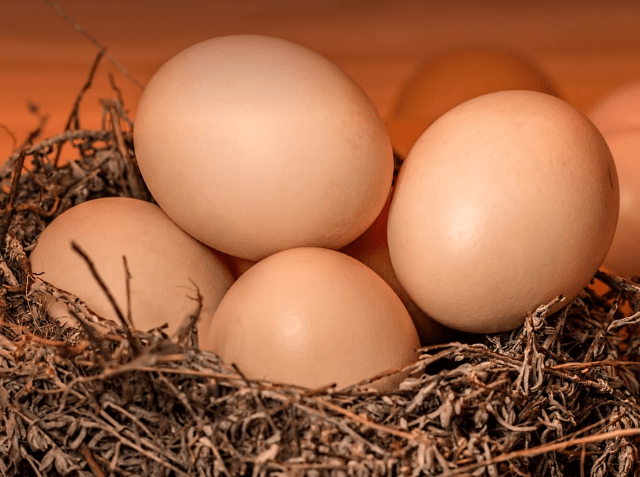 탈모에 좋은음식