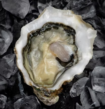 굴 효능 부작용 칼로리