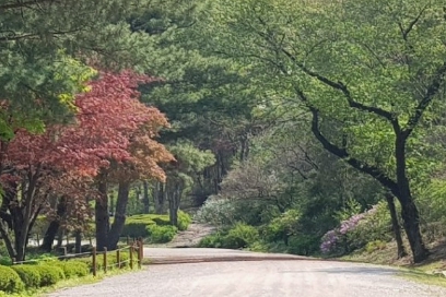 가을여행/안양/관악수목원