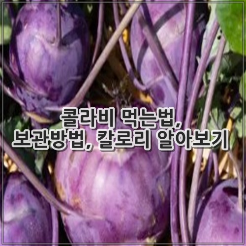 콜라비 먹는법, 보관방법, 칼로리 알아보기