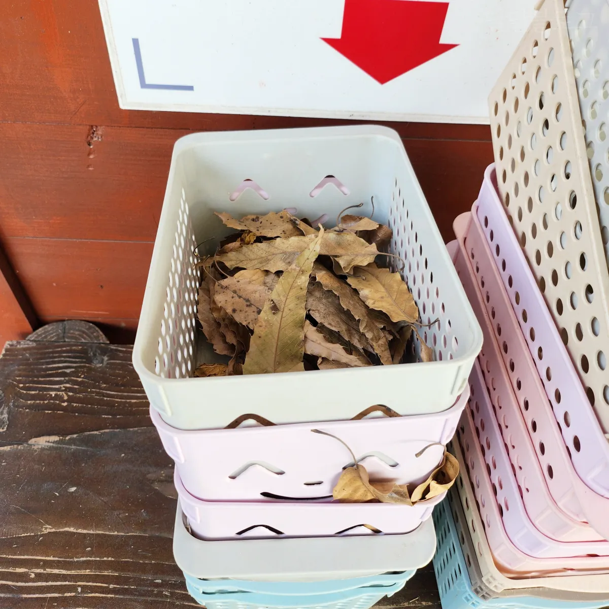 남양주-덕소-자연사박물관-염소먹이