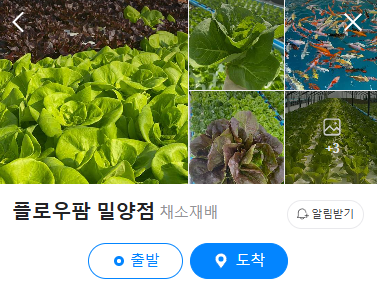 생방송투데이 이주의 장바구니 아쿠아포닉스 16종 유럽 잎채소 구매방법 밀양 플로우팜