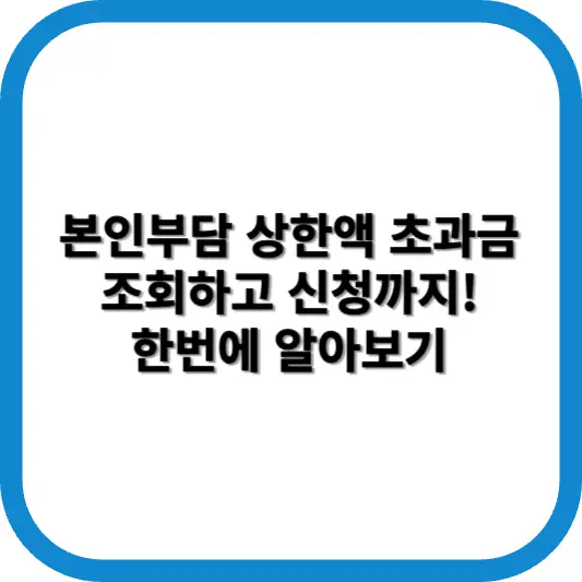 본인부담 상한액 초과금 조회