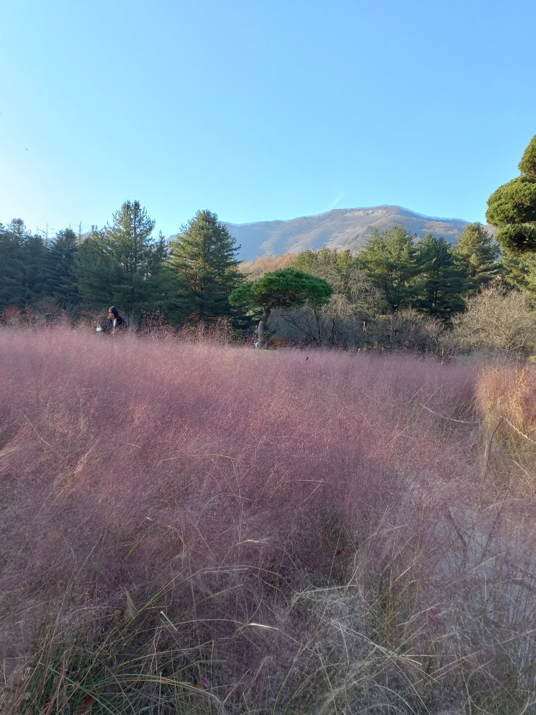 가평 가볼만한곳