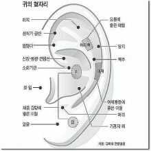 귀 혈자리 위치 지압법