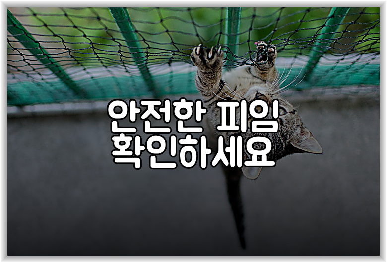 안전한 피임 확인하세요