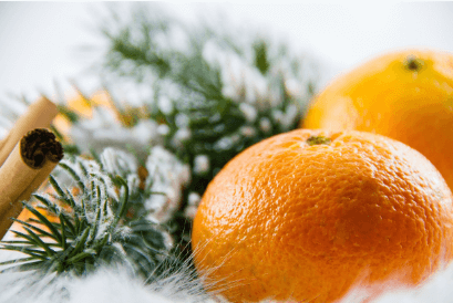 생방송오늘저녁 논산 황금향 택배 주문