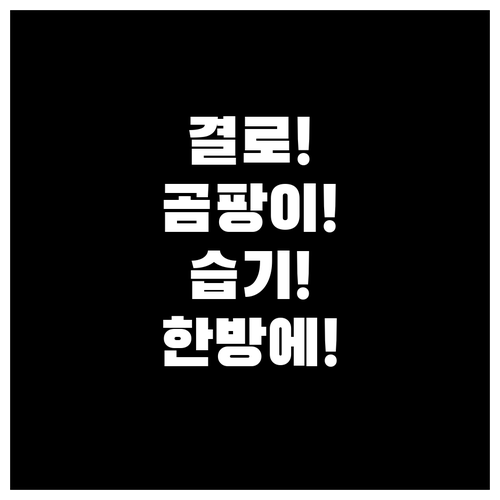 결로 현상 막고 곰팡이 없애는 집 안..