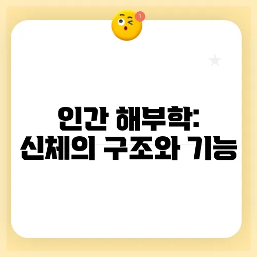 인간 해부학: 신체의 구조와 기능
