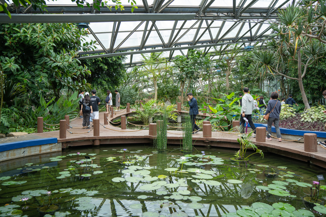 여미지 식물원 물의정원