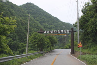홍천 가리산자연휴양림