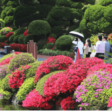 베어트리 파크 봄꽃축제와 관련된 사진