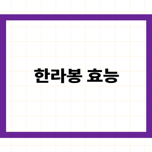 한라봉 효능과 부작용 —
비타민C·헤스페리딘의 과학적 근거와
올바른 섭취법 완벽 정리