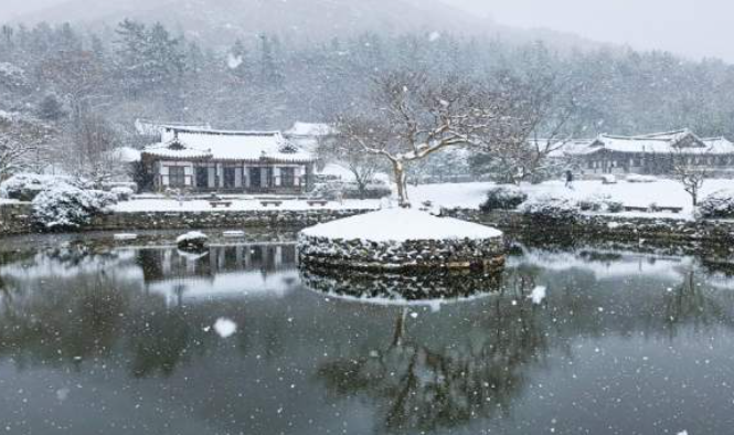 1월 전라남도 가볼만한곳 추천 ❘ 새해 신년 국내 겨울 여행지 ❘ 전라도 명소 ❘ 가족 실내 데이트