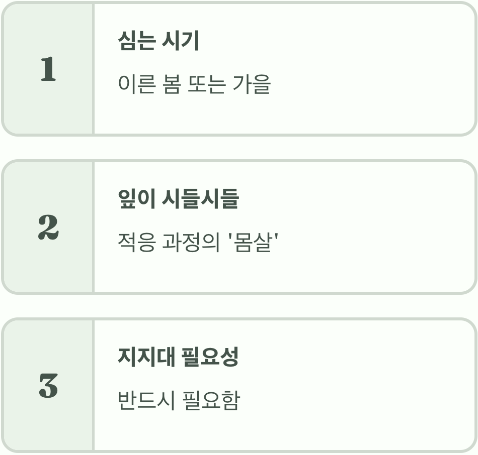 큰꽃으아리 묘목 고르는 법&amp;#44; 이것만 알면 실패 없이 시작!