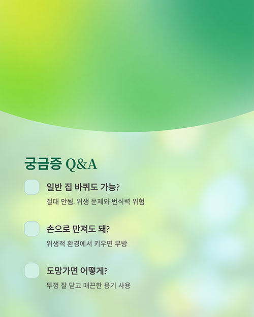Q&A로 정리하는 바퀴벌레 사육 궁금증
