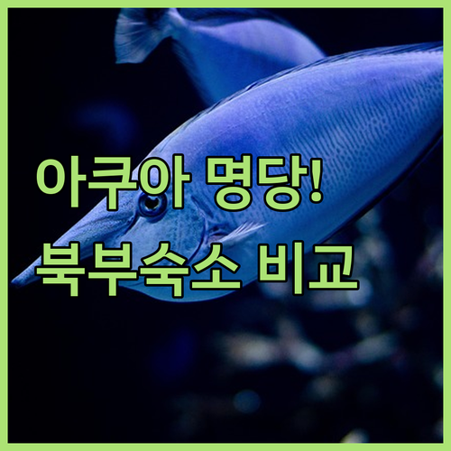 푸꾸옥 빈원더스 아쿠아리움 딥 씨 카..