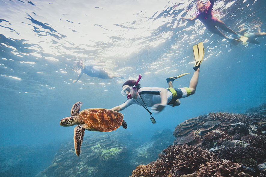 케언즈 여행 관련사진