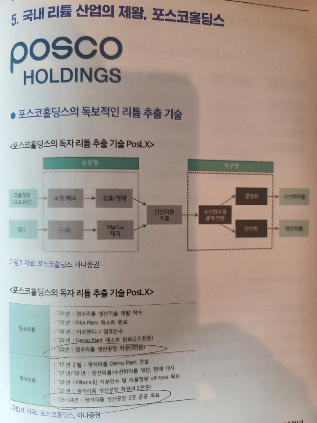포스코홀딩스의 독보적인 리튬 추출 기술
