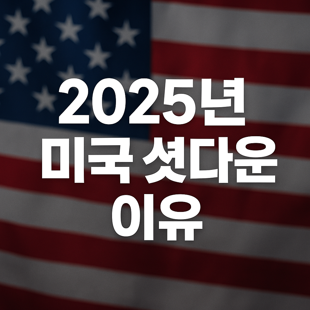 미국 셧다운