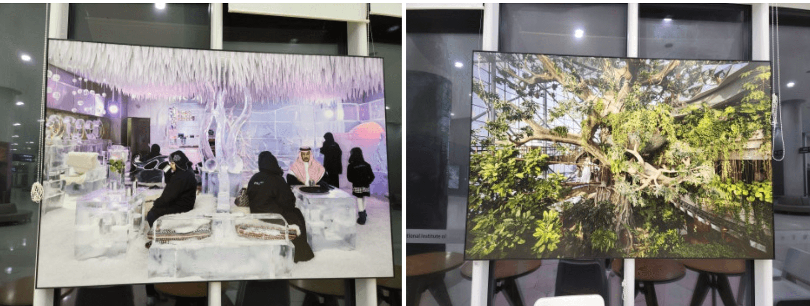 기후환경 사진 프로젝트 국립생태원제공