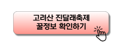 고려산 진달래축제 꿀정보 확인하기