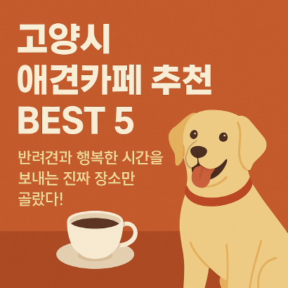 고양시 애견카페 추천 BEST 5 : 강아지와 함께 가기 좋은 실제 운영 카페 총정리